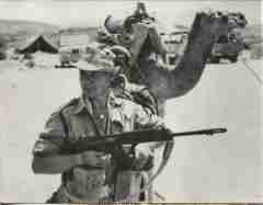 ���� ������ ��� ��� ����